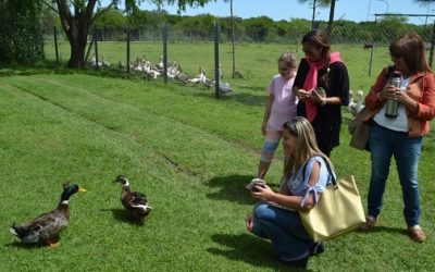 Concientización turística: Naturaleza y relax a la vuelta de la esquina